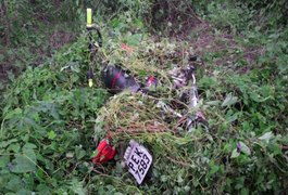 PM encontra moto com queixa de roubo em Matagal em Lagoa da Canoa