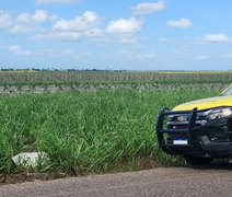Corpo de homem morto com diversos golpes de facão é encontrado em canavial, em Penedo