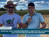 COOPAQ fortalece produção de milho e impulsiona agricultura familiar no Sertão de Alagoas