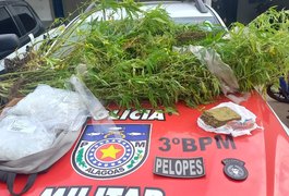 Dupla é presa por tráfico e por plantar maconha em casa, em Arapiraca