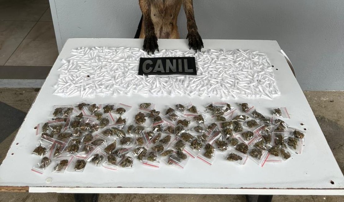 Cão farejador da PM encontra mais de 650 porções de drogas escondidas em área de mata em Arapiraca