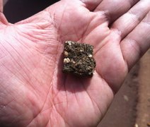 Insatisfeito com a qualidade da maconha, homem denuncia traficante à polícia