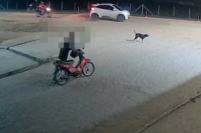 Homem é flagrado com cinquentinha furtada em imagens de câmeras de monitoramento, em Arapiraca