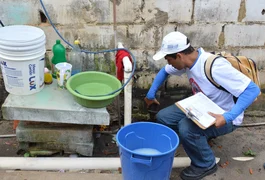 Sesau reforça cuidados para evitar proliferação do Aedes aegypti no período entre chuva e sol