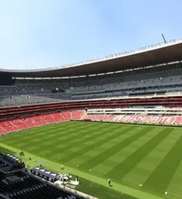 Três países que sediam a Copa de 2026 seguem na disputa