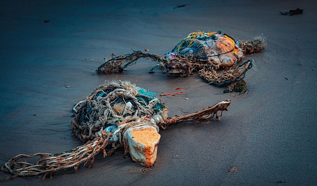 IMA lança exposição e catálogo do VII Concurso de Fotografia Ambiental