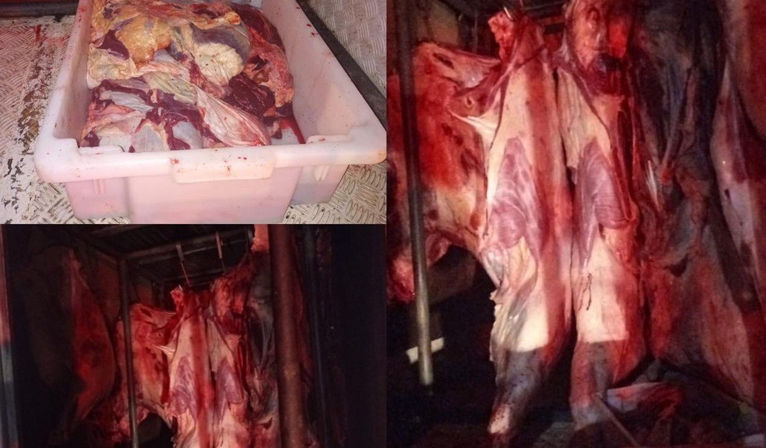 Carga de carne que seria comercializada no interior é apreendida em caminhão sem refrigeração