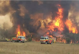 Sobe para 23 o número de mortos em incêndio na Austrália