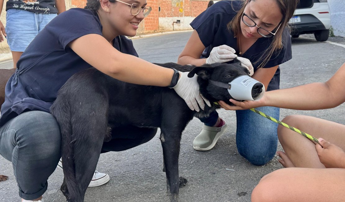 Lei estadual que garante proteção e o bem-estar dos animais já está em vigor