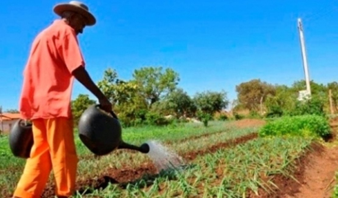 Governo de Alagoas vai entregar 466 títulos de terra para agricultores de seis municípios