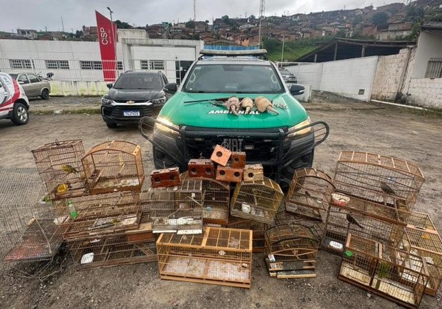 Operação Onda Verde recolhe arma de fogo e mais de 30 animais silvestres no interior alagoano