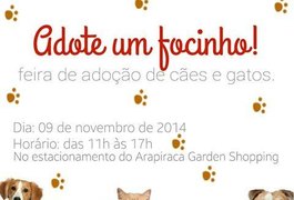 Protetoras Arapiraca e AHPAR realizam feira para adoção de animais no shopping da cidade