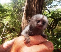 Reserva Natural no Baixo São Francisco é destaque brasileiro de fórum em Paris