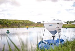 Inscrições abertas: 4° Seminário de Carcinicultura fortalece cultivo do camarão em Arapiraca