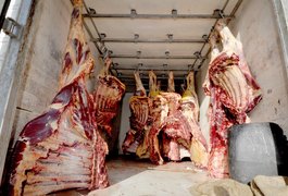 Fiscalização apreende 352 kg de carne em Palmeira dos Índios