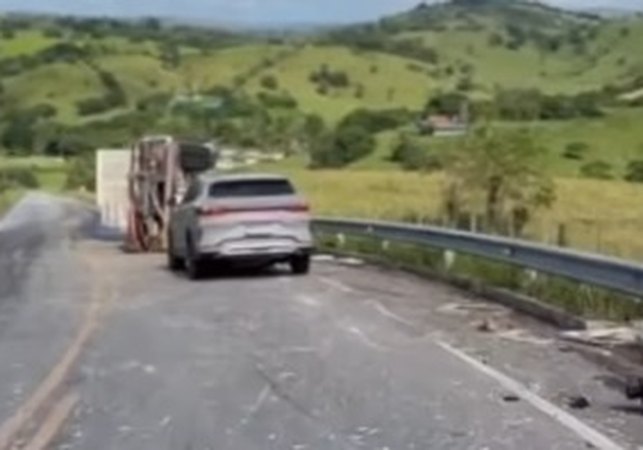 Caminhão carregado com frangos tomba na BR-424 entre Viçosa e Chã Preta