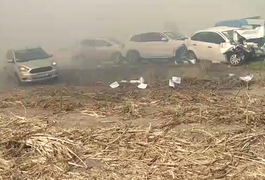 VÍDEO. Fogo em vegetação e fumaça provocam grande engavetamento na AL-220