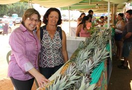 Comunidade do Poção se destaca em AL na produção de abacaxi