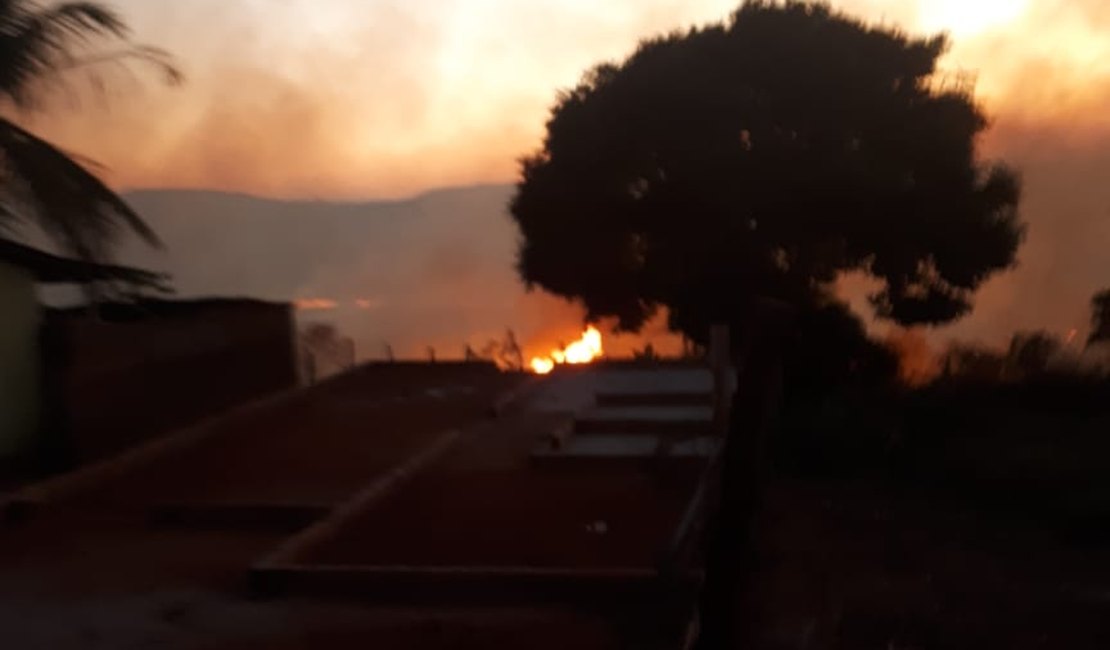 Vídeo. Incêndio de grandes proporções atinge vegetação na zona rural de Belém