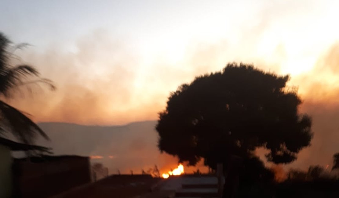 Vídeo. Incêndio de grandes proporções atinge vegetação na zona rural de Belém