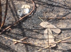 Vestígios encontrados pela Polícia Científica podem ajudar na identificação de ossada achada em Coruripe