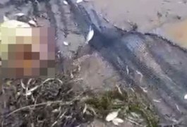 Pescadores encontram crânio humano dentro de açude em Mar Vermelho, interior de Alagoas