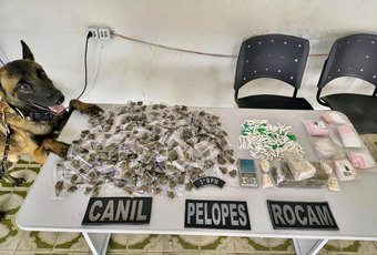 PM apreende 38 armas de fogo e mais de 665 Kg de drogas na última semana em Alagoas