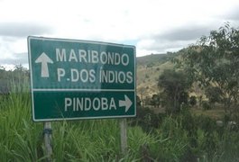 Padastro suspeito de matar irmãos a facadas responde por três homicídios