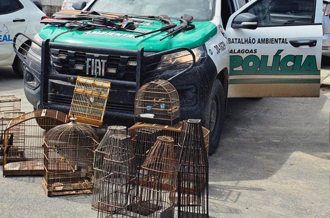 Polícia Militar apreende sete armas, armadilhas e aves silvestres em município alagoano
