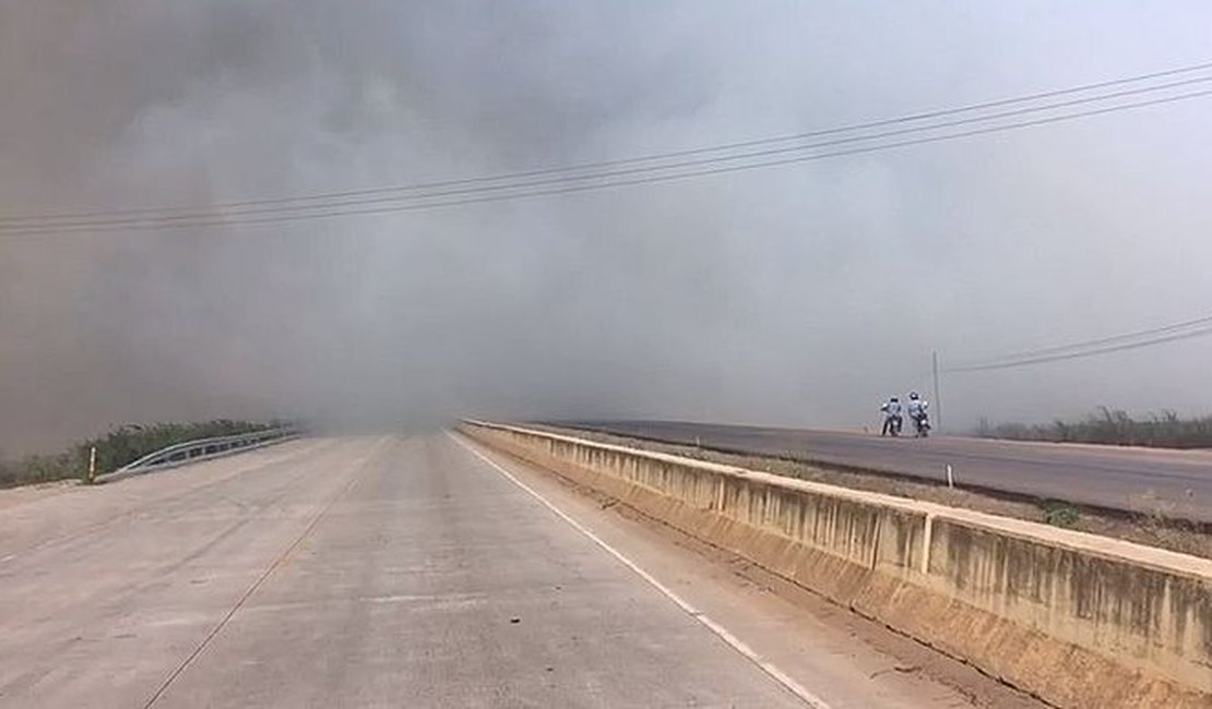 Incêndio em vegetação novamente prejudica visibilidade de condutores em São Miguel dos Campos