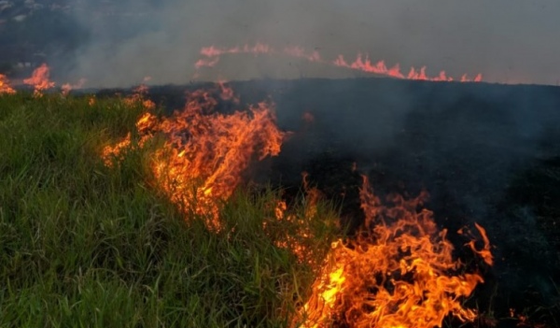 Incêndio destrói dezenas de hectares de pasto no interior de Alagoas