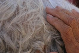 Filhas são autuadas após agredir o pai de 72 anos em Batalha