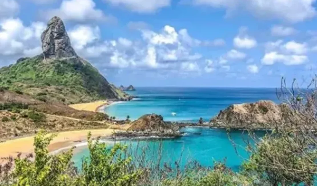 Após turista ser mordida por tubarão, Fernando de Noronha terá fiscalização reforçada