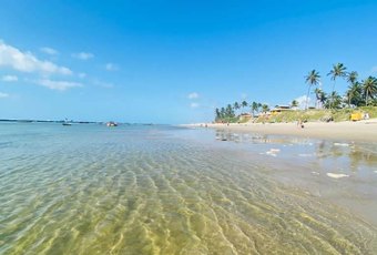 Adolescente de 17 anos é queimada por água-viva na Praia do Francês