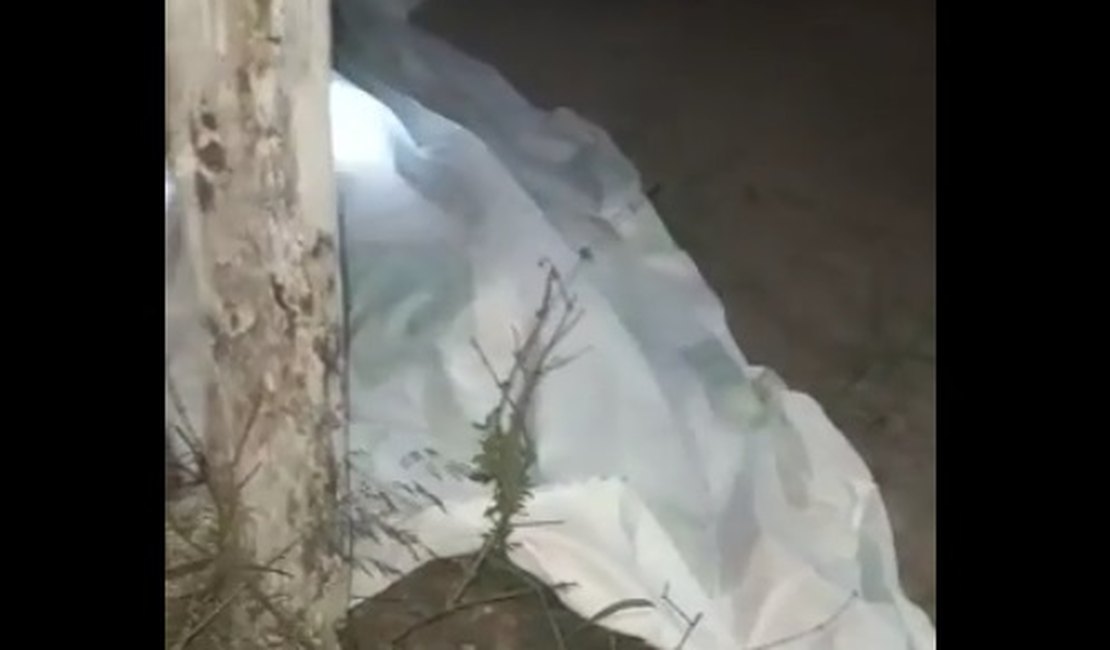 Mulher é encontrada morta em entrada de fazenda, em Junqueiro