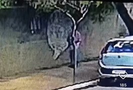 Moradores denunciam homem suspeito de danificar carros no Alto do Cruzeiro, em Arapiraca