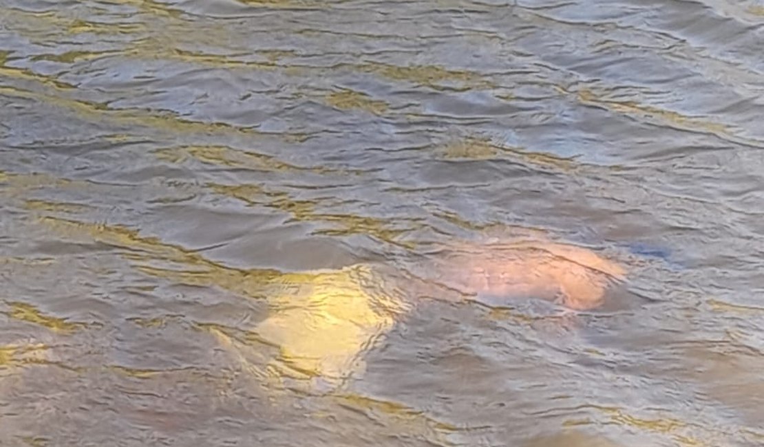 Corpo de homem assassinado a tiros é encontrado em rio na Zona Rural de Arapiraca