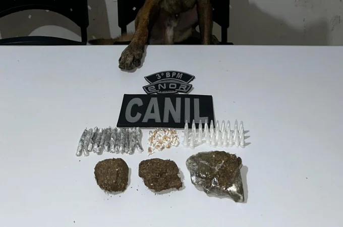 PM-AL apreende 33 armas e quase 14 quilos de drogas em uma semana