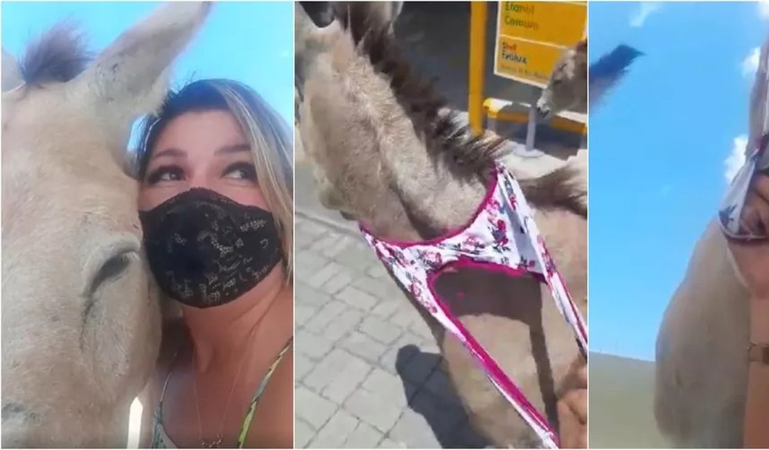 Vídeo. Ativista tira calcinha e usa para prender jumento em resgate do animal no Ceará