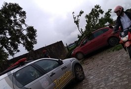 Galho de árvore despenca e atinge veículo em Arapiraca