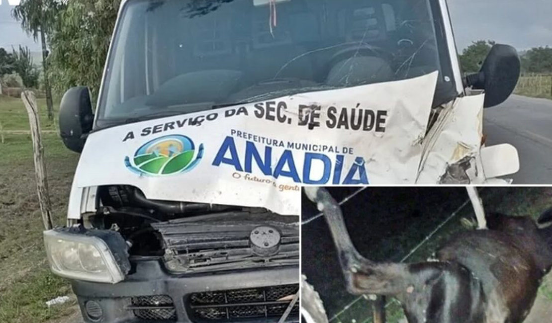 Criança fica ferida em acidente envolvendo animal e van da Prefeitura de Anadia, na AL 450