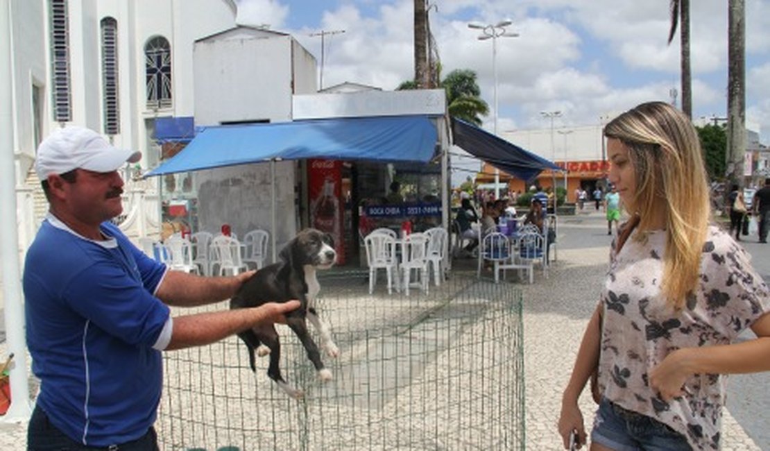 Feira de adoção de animais tem adesão da população em Arapiraca