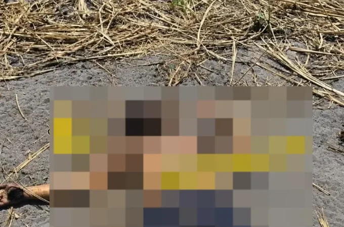 Após ser retirado de casa, homem é encontrado morto em canavial na parte alta de Maceió