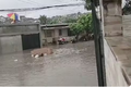 VÍDEO: Chuva forte faz rios transbordarem, água invade casas e deixa moradores ilhados no Recife