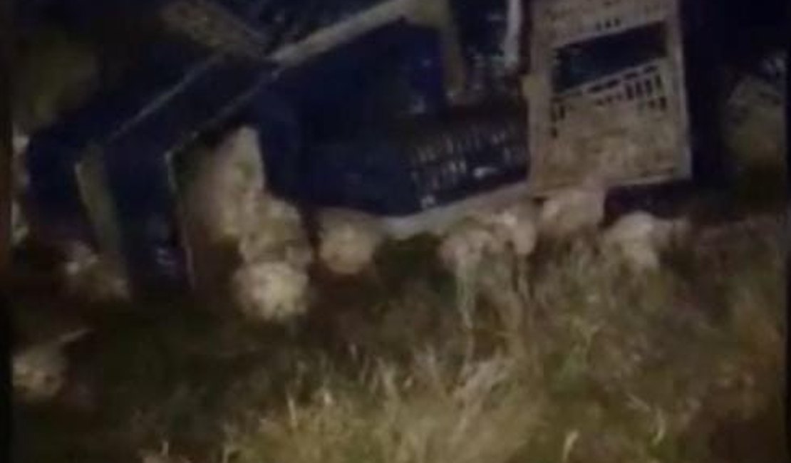 Caminhão com carga de galinhas capota em Palmeira dos Índios, na divisa com Pernambuco
