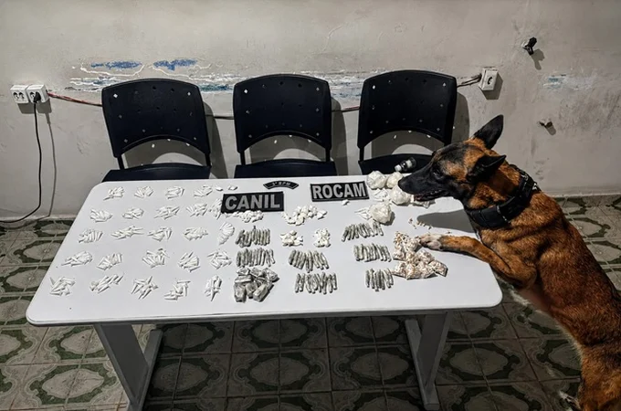 Mulher é presa com quantidade expressiva de drogas no Cangandu, em Arapiraca