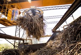 Alagoas teve o segundo maior saldo de empregos do país em novembro