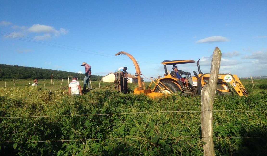 &#8288;&#8288;&#8288;Secretário de Agricultura elogia trabalho em comunidades rurais de Arapiraca