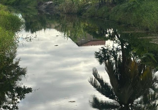 Polícia Civil investiga morte de peixes no Rio Maceiozinho, na Barra de São Miguel