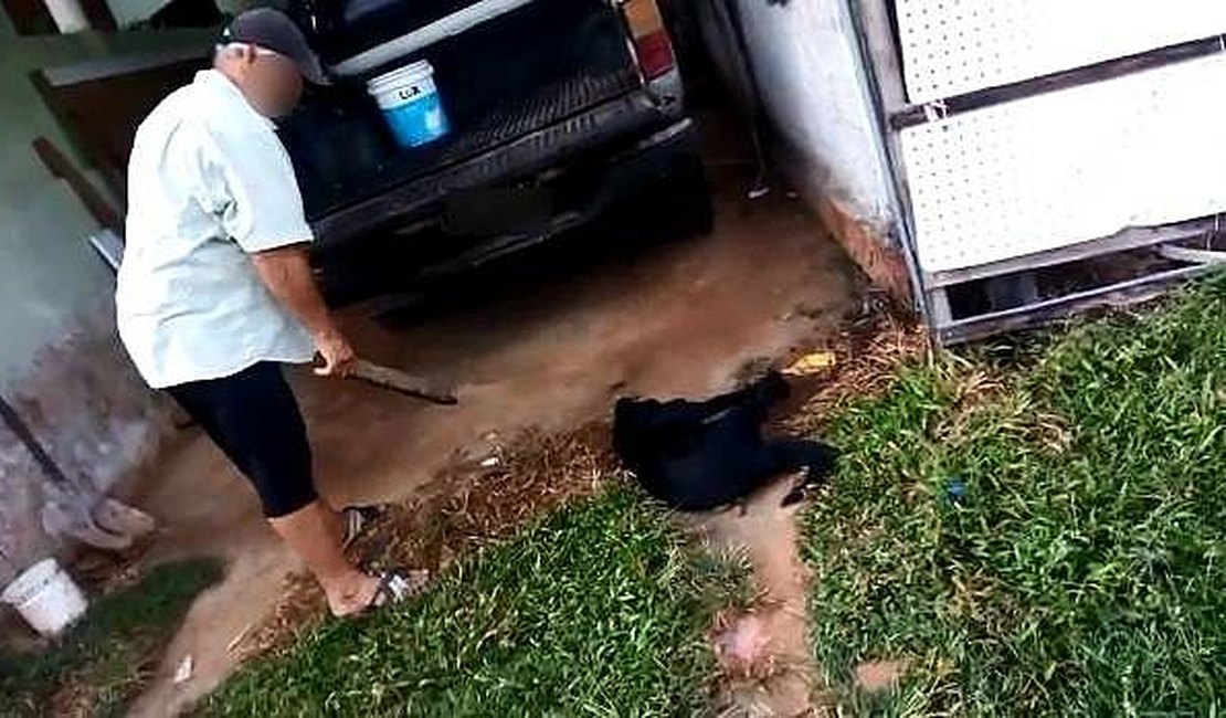 Homem é preso após espancar e cegar cachorro em Maceió